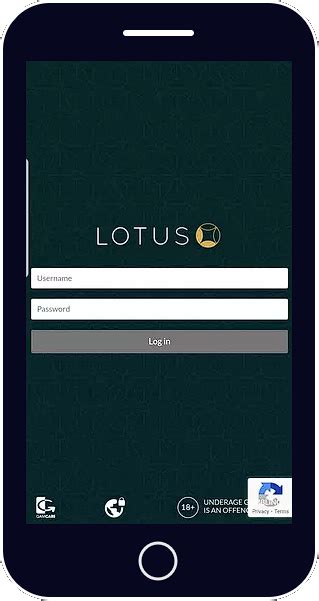 Lotus 247 Login: Your Gateway to Unparalleled Efficiency