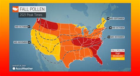 Louisville Allergy Report: A Comprehensive Guide for Residents and Visitors