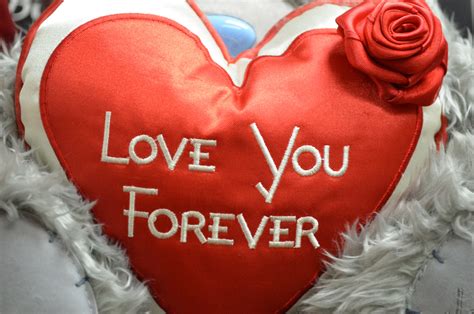 Love You Forever PDF