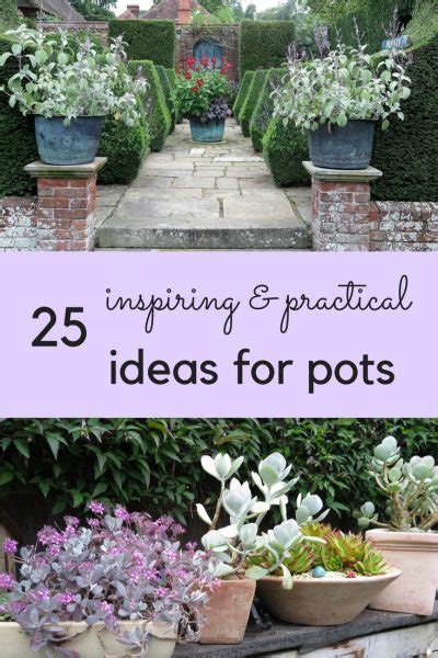 Love Your Garden Expert Tips and Practical Ideas for Gardens of Any Size Doc