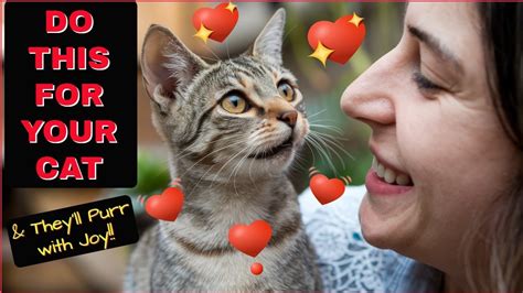 Lovecatsmew: The Ultimate Guide to Feline Affection