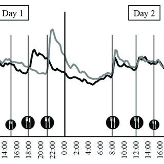 Low Check Kian: A Comprehensive Guide for Minimizing Blood Glucose Fluctuations