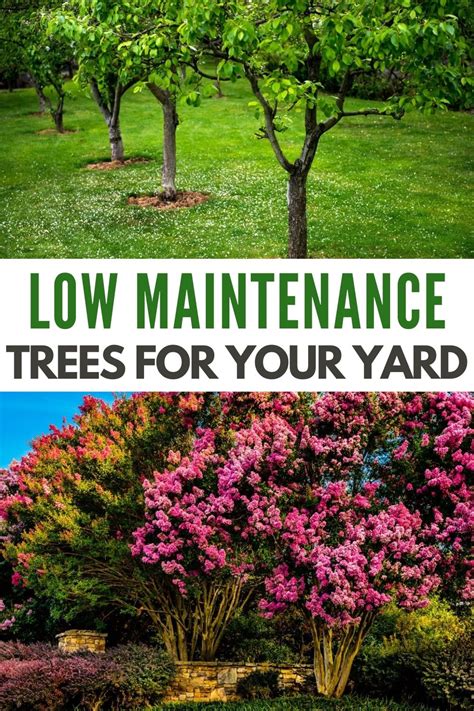 Low-Maintenance: