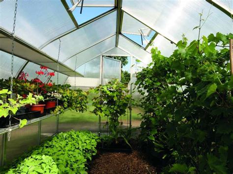 Low-Maintenance Greenhouse Gardening Book Everything You Need to Know to Get Started Setting up Your Own Greenhouse Doc