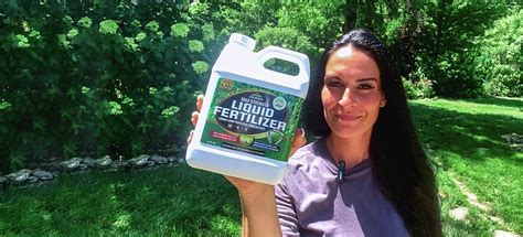 Lowe's 16-4-8 Fertilizer: The Ultimate Guide for Boosted Plant Growth