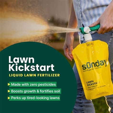 Lowe's Starter Fertilizer: The Ultimate Guide to Kickstart Your Lawn