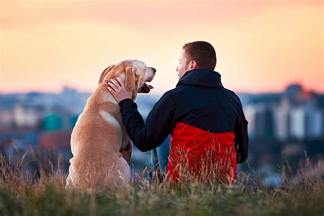 Loyal Hound: