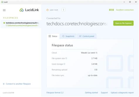 LucidLink client interface showing network settings