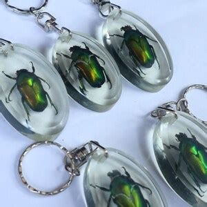 Lucky Beetle Keychains Wholesale Keychains Doc