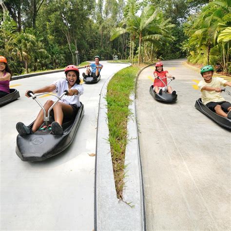 Luge Sentosa Tickets: 4 Things to Know Before You Go