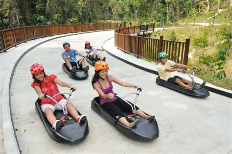 Luge Singapore Tickets: 5 Tips for an Unforgettable Experience