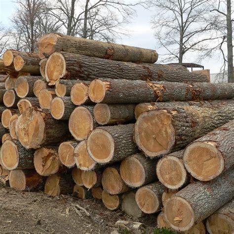 Lumber