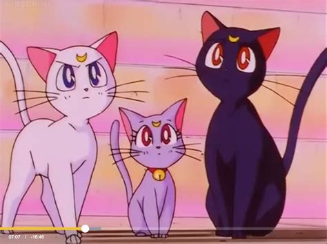 Luna Cosplay: A Guide to Becoming the Guardian Cat of Sailor Moon