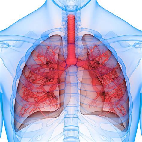 Lung Center Dubois, PA: Your Comprehensive Guide to Respiratory Health