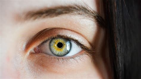 Lutein: A Comprehensive Guide to Protecting Your Vision