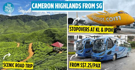 Luxury Bus from Singapore to Cameron Highlands: Your Ultimate 2025 Getaway