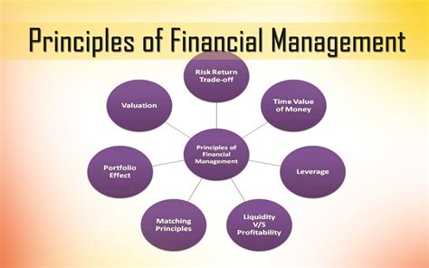 Lyka's Financial Management Features