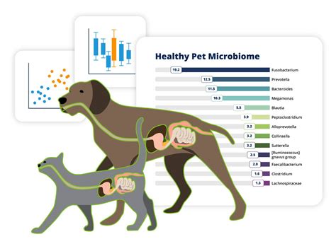 Lyka's Focus on the Pet Microbiome