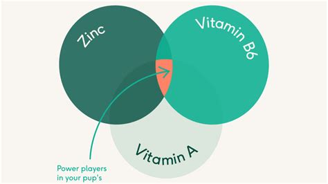 Lyka: Vitamin and Mineral Powerhouse in 2025