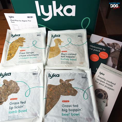 Lyka and Pet Food Recipes: A Comparative Guide to 2025