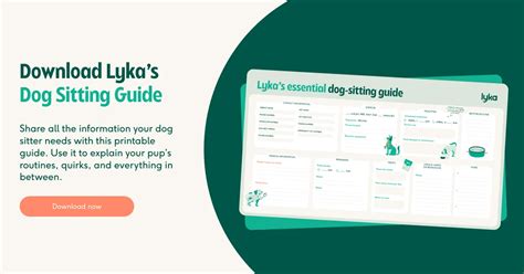 Lyka and Pet Problem-Solving: The Ultimate Guide for 2025