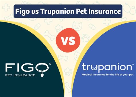 Lyka vs. Pet Insurance Providers in 2025: 5 Key Comparisons