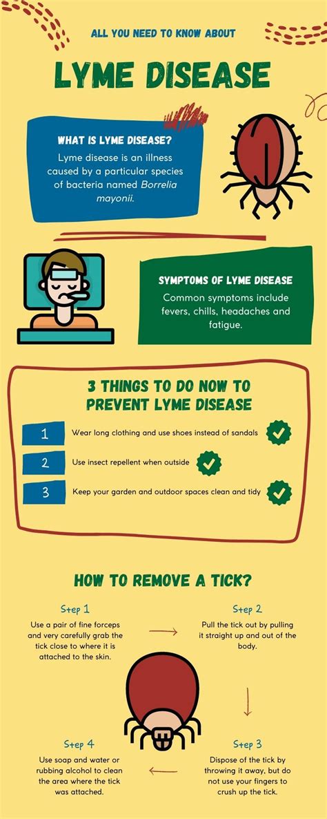 Lyme Disease in Singapore: A Comprehensive Guide for Understanding, Prevention, and Treatment