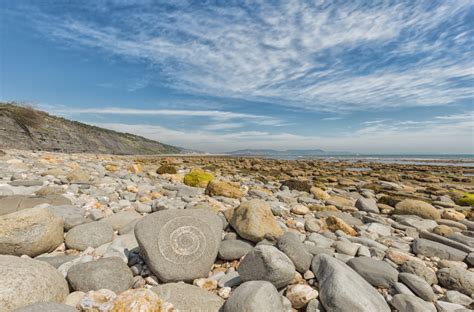 Lyme Regis: A Guide to the Jurassic Coast's Hidden Gem