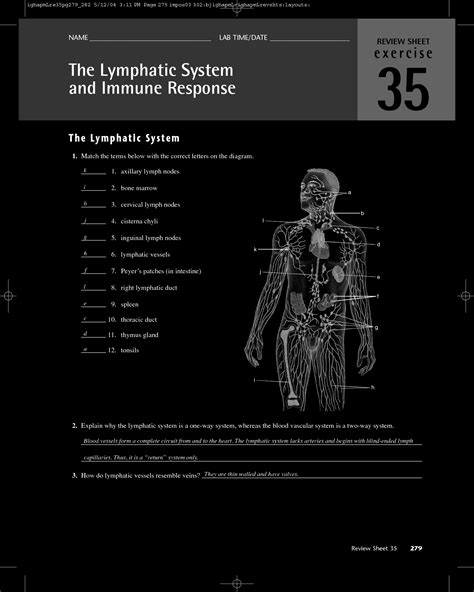 Lymphatic System And The Blood Answer Key Epub