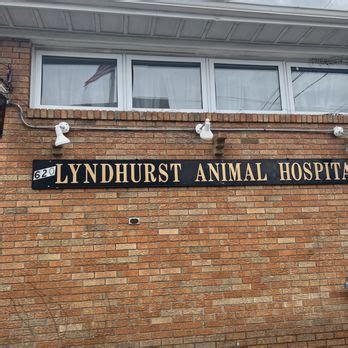 Lyndhurst Animal Hospital: 5-Star Care for Your Furry Friends in Lyndhurst, NJ