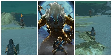 Lynel Link: A Comprehensive Guide to 6000+ Years of History, Lore, and Combat Strategies