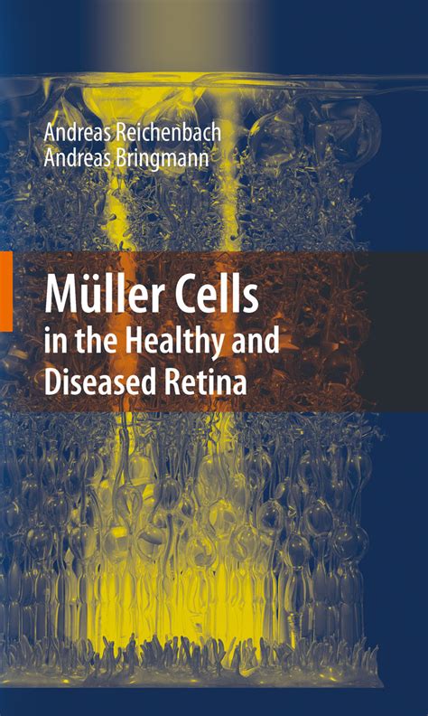 MÃ¼ller Cells in the Healthy and Diseased Retina 1st Edition Doc