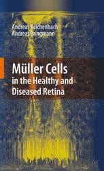 MÃ¼ller Cells in the Healthy and Diseased Retina 1st Edition Doc