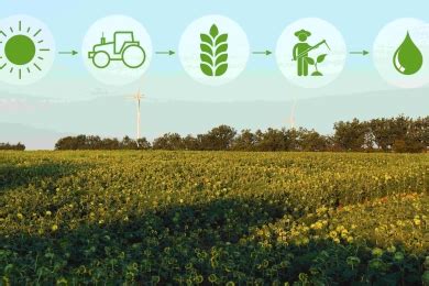 M3/ha: Unlocking a Wealth of Potential for Sustainable Agriculture