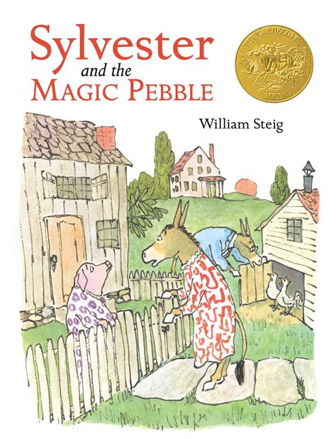 MAGIC PEBBLE SATS PAPER Ebook Reader