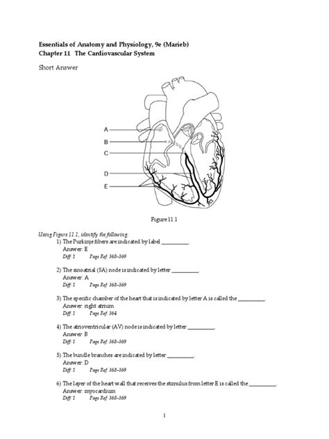 MARIEB ANATOMY ANSWERS SHORT ANSWER ESSAY Ebook Epub