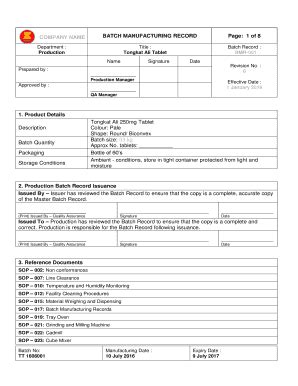 MASTER BATCH PRODUCTION RECORD SAMPLE Ebook Doc