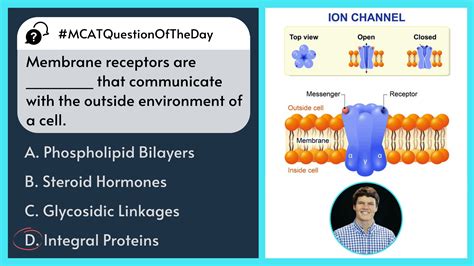 MCAT Problem of the Day #321: A Heart-Pounding Conundrum