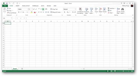 MICROSOFT EXCEL 2010 LEV1-TEX Reader