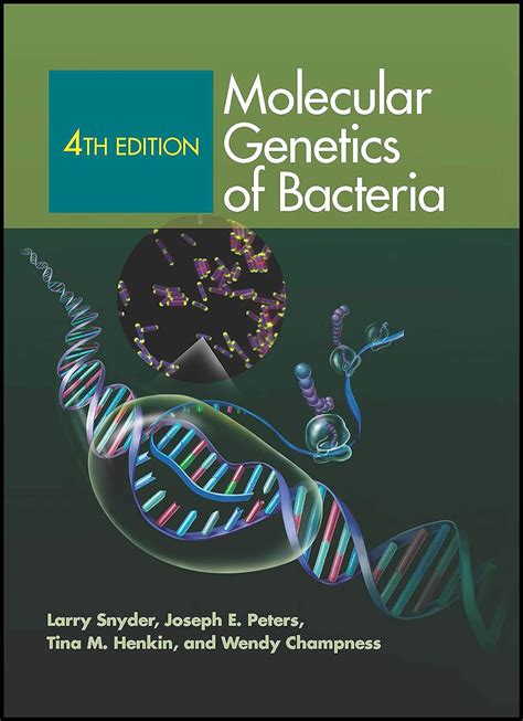 MOLECULAR GENETICS OF BACTERIA 4TH EDITION SNYDER Ebook PDF