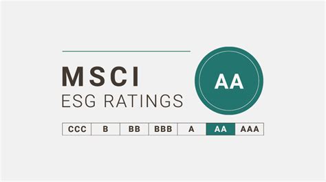 MSCI EU Index: A Comprehensive Guide for Investors