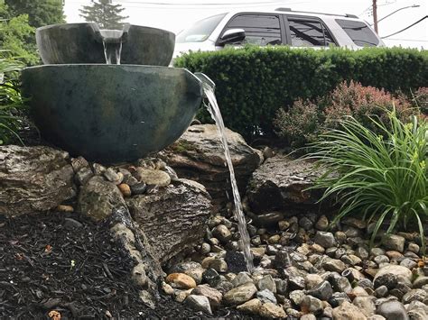 MSWaterifyANasty: Revitalizing Your Garden with Miracle Water