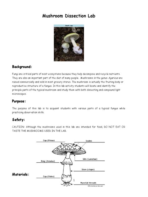 MUSHROOM DISSECTION LAB ANSWERS Ebook PDF