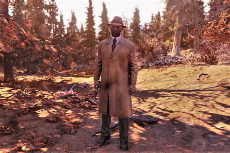 MYSTERIOUS STRANGER: UNVEILING THE ENIGMA OF FALLOUT 4'S ELUSIVE SAVIOR