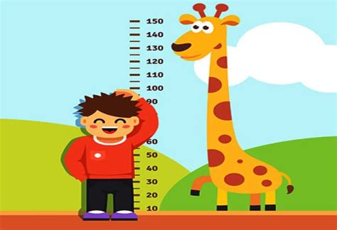 Maasband: A Comprehensive Guide to the Measurement of Height and Length in Children