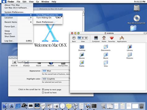 Mac OS X 10.1 Reader