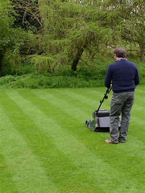 MacAllister Lawn Mowers: A Comprehensive Guide to Maintaining Your Lush Lawn