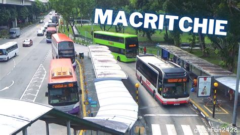 MacRitchie Bus Stop