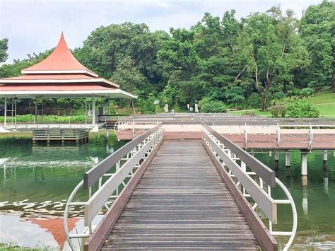 MacRitchie Reservoir Bus Stop: A Comprehensive Guide for Commuters and Adventure Enthusiasts