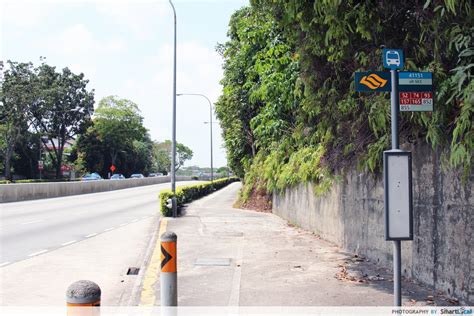 MacRitchie Reservoir Bus Stop: A Comprehensive Guide to Accessibility and Convenience